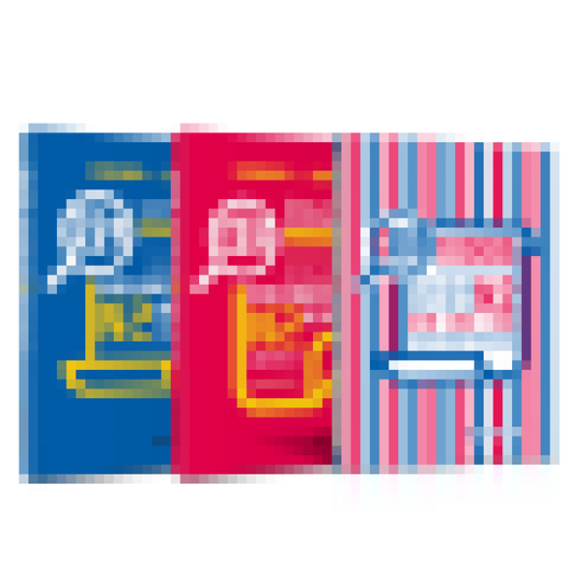 Genuine N2 N2 + Sapphire Book + Red and Sapphire Book. New Japanese Language Proficiency Test Level 2 Text Vocabulary + Grammar + 1000 Word Grammar Learning Y Books a Learning Y Books