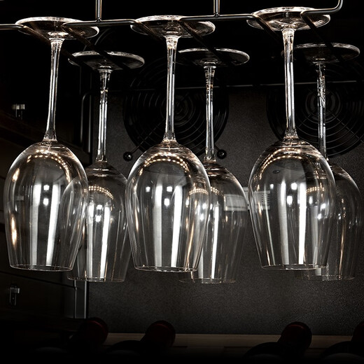 PULADI Frequency Converter Double Door Red Wine Cabinet Constant Temperature Double Door Double Temperature Wine Cabinet Home Living Room Refrigerator Office Tea Villa Liquor Beverage Commercial Fresh-keeping Display Cabinet Embedded Ultra-Thin Frequency Converter Double Door (Arch) - 1.78 Meters - Wine Cabinet Ice Bar Style 490L