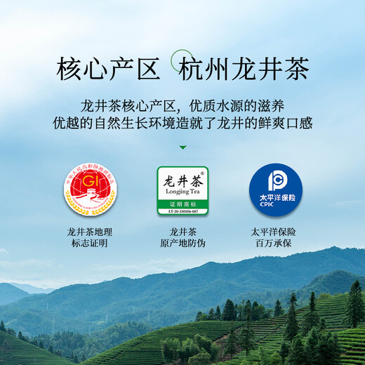第一江南绿茶龙井特级250g2025新茶明前茶叶礼盒装春茶嫩芽高端送礼品