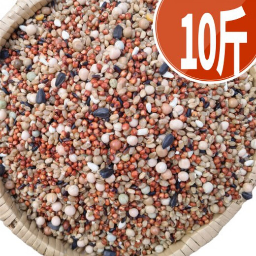 10 Jin Jin is equal to 0.5 kilograms of corn-free pigeon food, racing nutritional feed, bird food, carrier pigeon ornamental pigeon meat, pigeon food, pigeon food