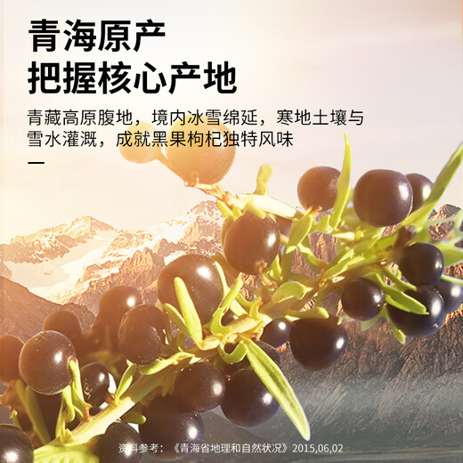 同仁堂品牌 北京同仁堂 黑枸杞小罐礼盒200g送父母长辈见家长礼品礼物