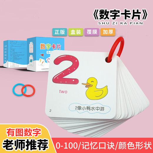 东之天地幼儿园0到100数字卡片幼小衔接一年级儿童早教启蒙认数识数玩具 0-100数字卡 108张
