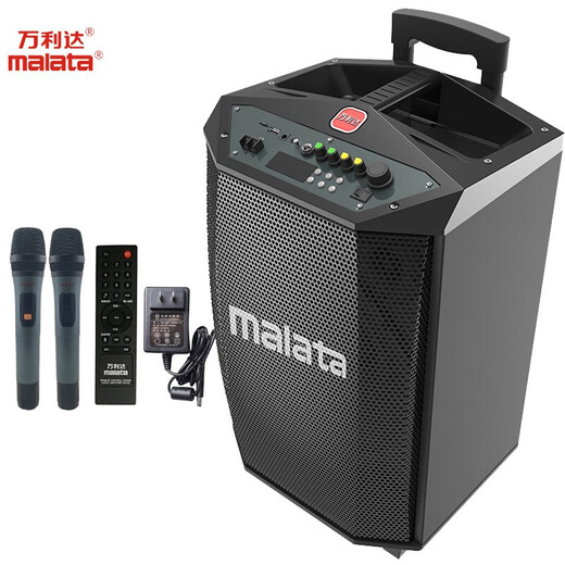 Wanlida Square Dance Audio High Power Outdoor Mobile Speaker Trolley Audio Wireless Bluetooth Portable Subwoofer Charging with Microphone Official Store 12-inch U-segment Microphone*2+1 Universal Headset+U Disk