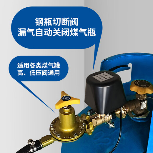Likean Likean Technology Gas Alarm Liquefied Gas Tank Hotel Household Kitchen Commercial Gas Leakage Alarm Automatic Cutting Safety Valve 719 Small Catering Commercial Model + 1 Wireless Cutting Valve
