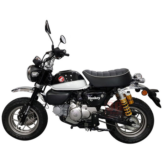 Modelo de ensamblaje de motocicletas Tamiya 14132 Ducati 1199 Panigale S Tricolore 1/12 14134 Honda Honda Monkey 125