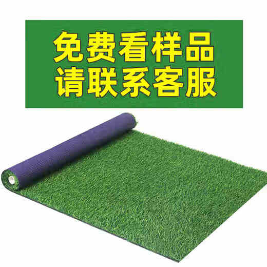 IGIFTFIRE simulated lawn carpet artificial fake grass plastic green balcony outdoor kindergarten bedding decoration artificial turf 2 cm encrypted version 1 meter wide 1 meter long 1 flat