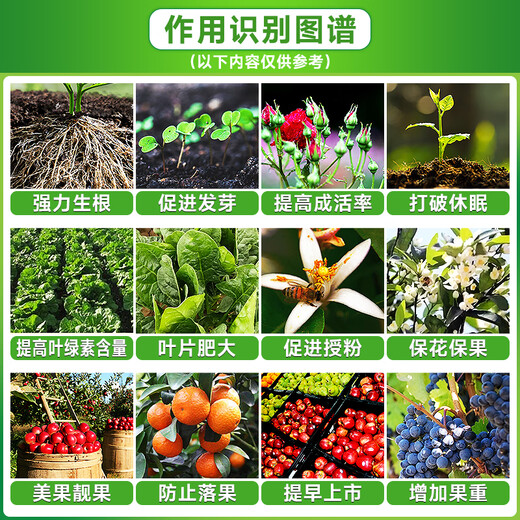 Sodium nitrate naphthalene acetic acid, wheat growth regulator, fruit tree growth promoter, rooting and seedling strengthening agent, tea tree germination accelerator, sodium nitrate naphthalene acetic acid 1000ml*12 bottles/box