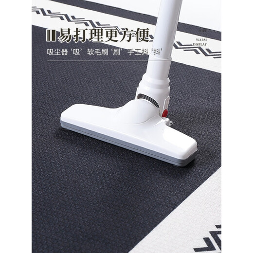 Gudie carpet living room 2023 new sofa coffee table mat light luxury room Tianjin carpet bedroom washable and wipeable modern light luxury-Z41 80*120cm newly upgraded four-proof material