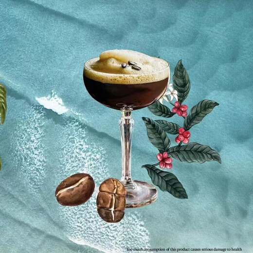 
Tandun Rum TANDUAYRUM Wine Roasted White Rum mojito Mojitoki Wine Mixed Danhuai Winery Coffee Flavored Rum 750mL 1 Bottle 25%vol