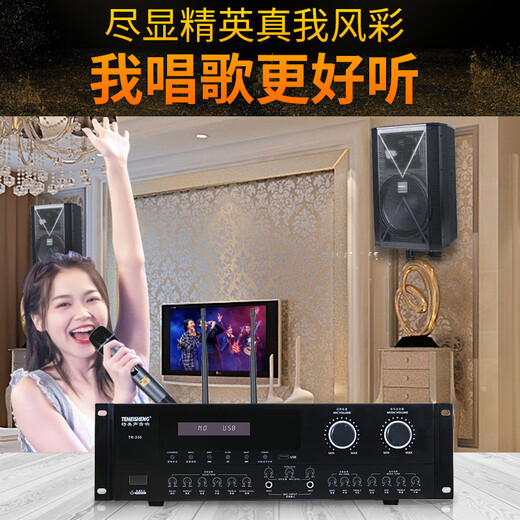 TEMEISHENG 特美声TK912KTV家庭音响组合套装专业效果器功放智能点唱KTV系统语音点歌ktv音响套装ktv音响家用 TK912套装+美声话筒+2T点歌机
