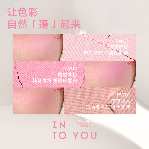 INTO YOU fluffy blush rouge single color contouring birthday gift for girls New Year gift PW05 fluffy blood pillow