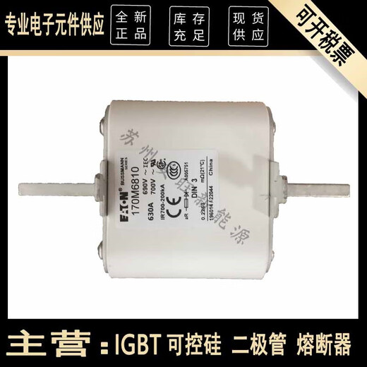 XMSJ/6811/6812/16813/6814全新伊顿熔断器保险熔芯 170M6810