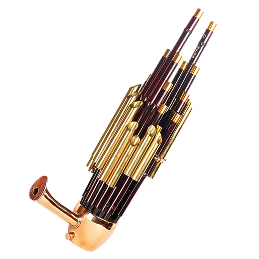 Qi ist 17 Frühling 14 Frühlingsverstärkungs-Musikinstrumente, Runde Sheng Square Sheng Kultivierungsinstrumente Sheng Bag Anfänger 17 Springverstärkungs-Musikinstrumente (lila Bambus weiße Röhre) -D-Melodie