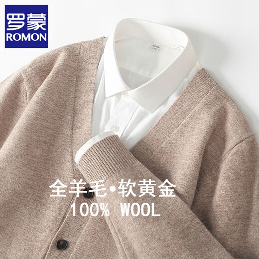 罗蒙（ROMON）秋冬新款100%羊毛开衫男V领纯色毛衣外套宽松休闲百搭针织衫上衣 天蓝色 L