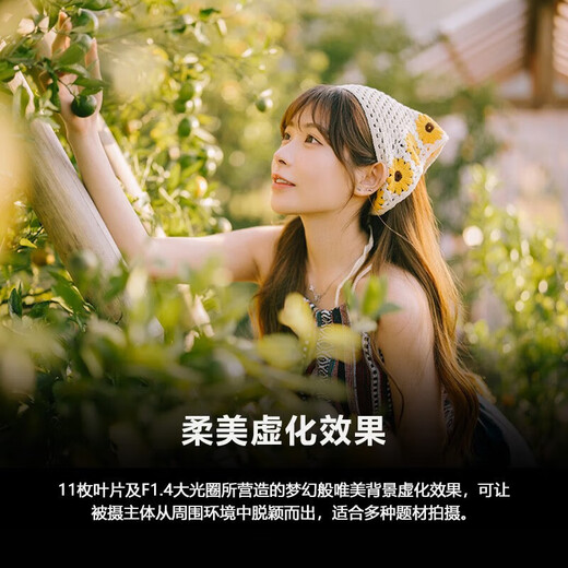 Sony (SONY) FE 50mm F1.4 GM full-frame large aperture fixed focus G master lens SEL50F14GM 50F14GM SEL50F14GM lens