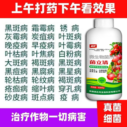 New pathogen clearing microbial agent fungicide fungus bacterial viral disease morning and evening blight downy mildew powdery mildew bacterium clearing bacteria fungus virus general killing popular model 500g 1 bottle