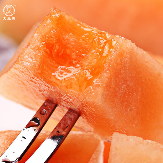 Dayu Hami Melon Seed Seedlings Southern Reticulated Xinjiang Hami Melon Seeds Musk Melon Xiangyang Hami Melon Seeds 100 Fruit Musk Melons