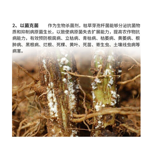 Biological Bacillus subtilis microbial inoculant bacterial fertilizer probiotic fertilizer agricultural nitrogen fixation and disease prevention 1kg 1.0kg