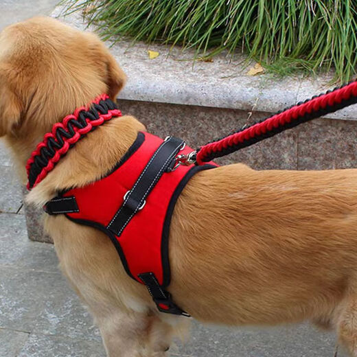 PPO Dog Rope Leash Samoyed Golden Retriever Labrador Collar Dog Chain Medium Large Dog Golden Retriever Dog Walking Rope Single Chest Back Red Black M Code - Recommended 18-35 Jin Jin equals 0.5 kg Use