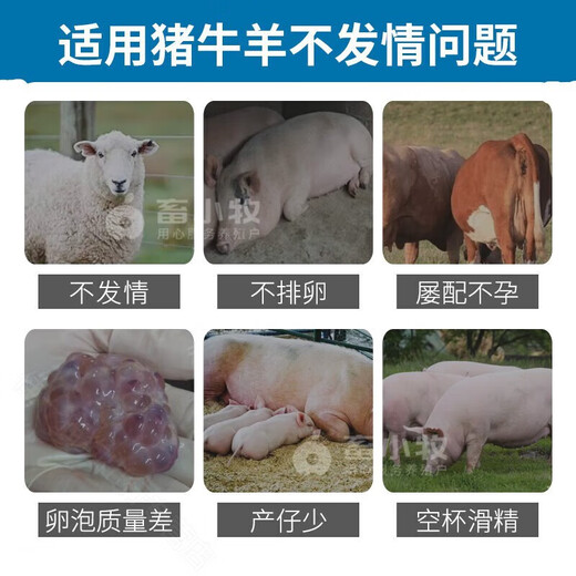 Animal husbandry, prosperity, Taibao upgraded version of veterinary pigs to promote ovulation, cattle without pens, sheep to promote estrus, three-day estrus, multiple placenta, 150g/bag