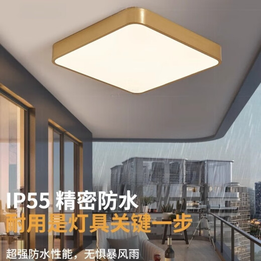 禾灵全铜户外吸顶灯别墅入户门门前灯过道阳台防水家用防虫方形露台灯 X3893/小号30cm/三色可调