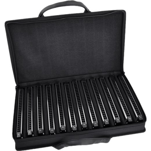 通宝6624口琴24孔复音C调儿童成人专业演奏初学新手入门高端老人 12调套装