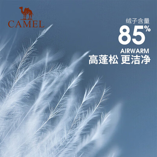 Camel (CAMEL) three-proof down jacket three-in-one oil-proof and waterproof lightweight ski jacket for women [鄚burn] A23CA3a1098