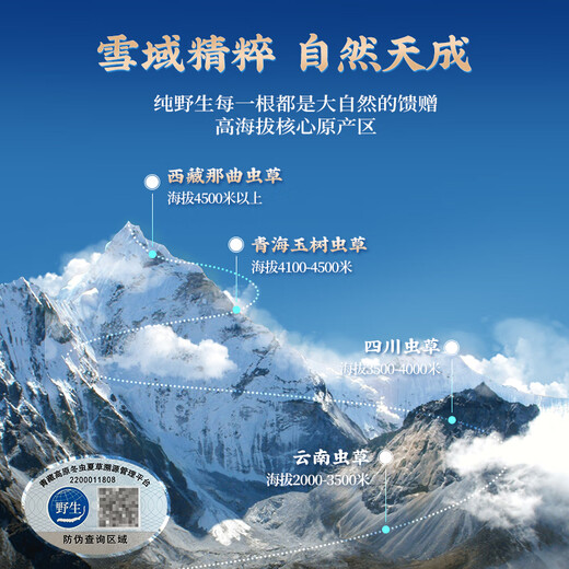 Guokuntang [Chinese Academy of Sciences Traceability] Fresh Cordyceps sinensis Nagqu, Tibet. Wild first-stubble fresh Cordyceps gift box Nagqu fresh grass 0.5-0.6g/root 30 roots [Excellent value for monthly payment]
