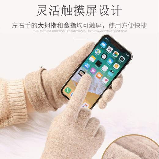 Woodpecker Wool Gloves Women's Touch Screen Winter Cute Cycling Plus Velvet Thickened Windproof Student Cold and Warm Driving Gloves