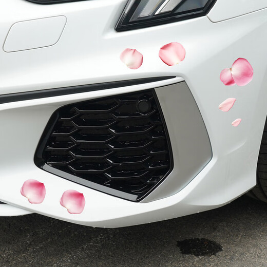 PS Car Decal Cover Scratch Sticker Car Body Small Scratch Waterproof Sunscreen Petals Internet Celebrity Personalized Car Sticker Pattern Pink Petal/TA683-3