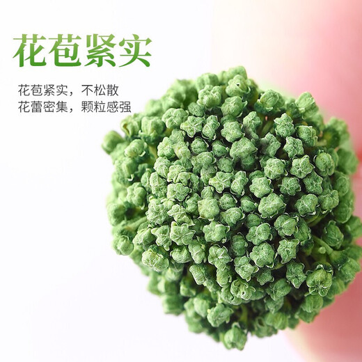 山臻三七花云南养生茶泡水喝文山特级正宗田七粉片 三七花 250克