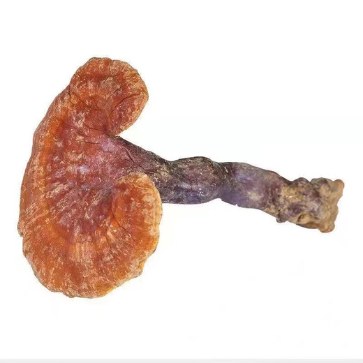 
[Tibetan shipment] Tibet Wild Ganoderma lucidum Red Ganoderma lucidum Spore Powder with Handle Red Ganoderma lucidum Soup Yellow Companion Tibet Wild Ganoderma lucidum 250g