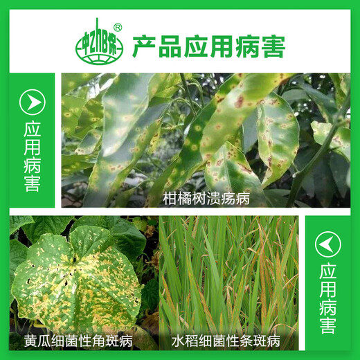 BASF dry transport 30% zinc thiazole rice cucumber citrus fruit tree canker bacterial angular leaf spot fungicide 100ml