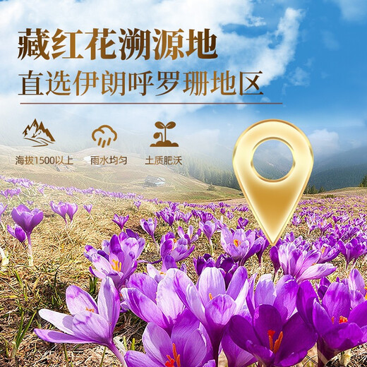 歌狮坦伊朗藏红花精选优质番红花全红长丝泡水养身茶 当季新花 送礼佳选 黑金轻奢礼盒6g