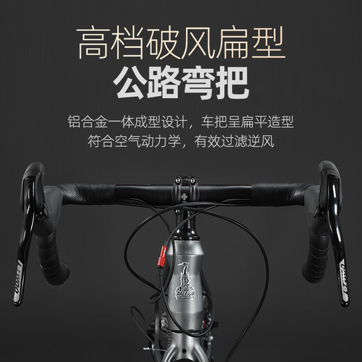 Raleigh Lanling Magnesium Alloy Road Bike Взрослые мужчины и женщины-подростки Городские езды скорость Racing Racing Bik