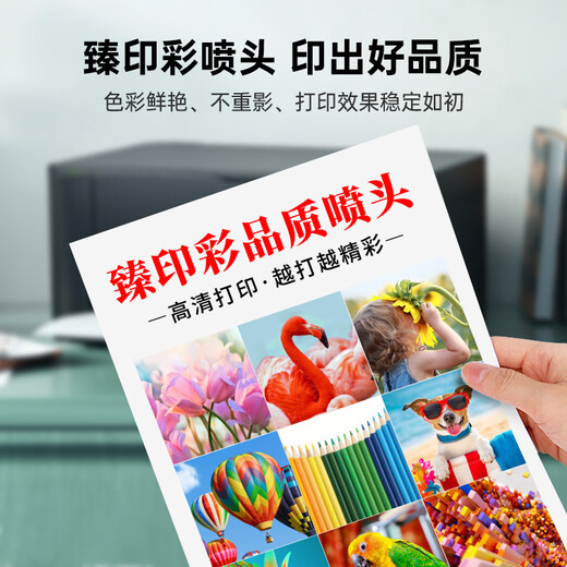 臻印彩兼容惠普T790 T795 T770 T610 T1200 T1300 T2300打印机喷头墨水 PK照片黑色+GY灰色