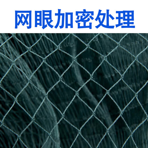 Fishing fun zone drag net fishing net drag net river fish pond fish scraping seine 2-finger partition clearing net 10m long 2m high 2-finger drag net weighted steel pendant new material mesh, strong and reliable
