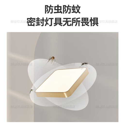 全铜阳台灯吸顶2024年新款屋檐灯别墅入户大门口门厅灯户外吸顶灯 X3893-500-104瓦三色变光