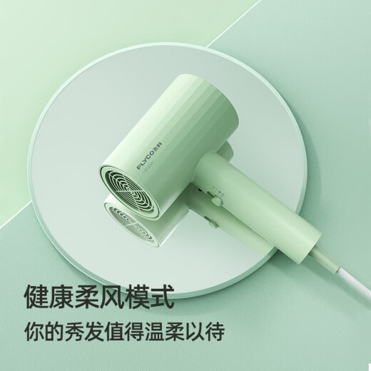 飞科（FLYCO） 电吹风2000W家用大功率吹风筒便携式吹风机冷热风 飞科FH6296 1800W 带负离子 绿色