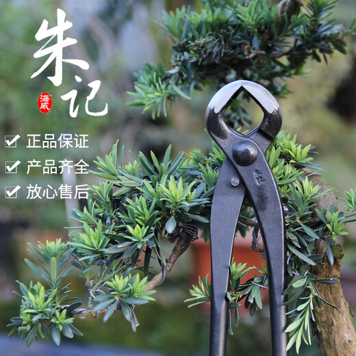 朱记球节剪球形剪朱记盆景工具球剪球钳朱记修枝剪不锈钢 C12210mm不锈钢款