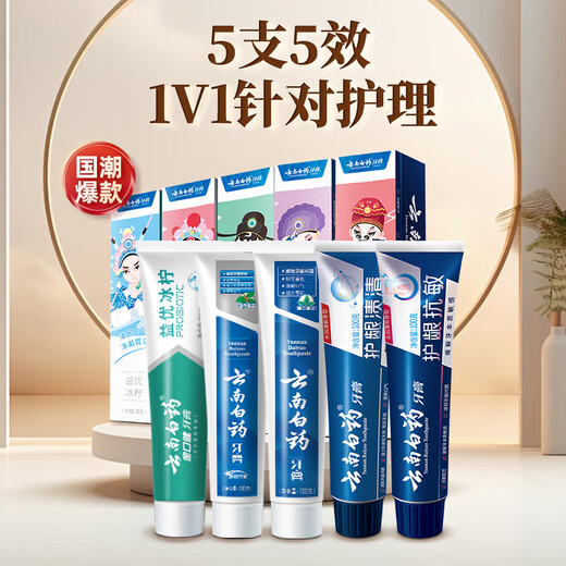 云南白药牙膏国粹套装5支共500克薄荷香型护龈抗敏清新口气家庭装 国粹套装500g