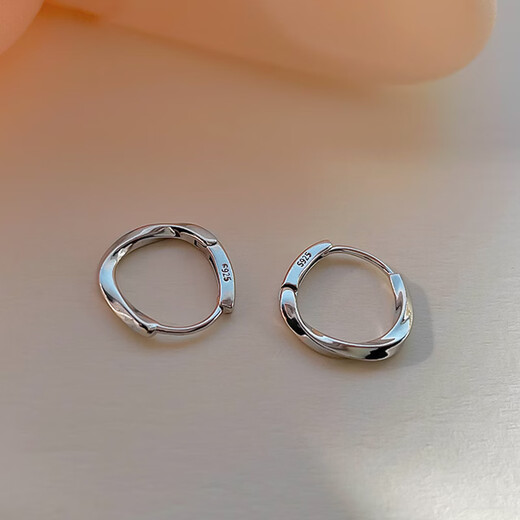 Bai Qixin earrings women's s925 silver needle niche design earrings, trendy and high-end earrings, pierced ears, teacher's day gift, light luxury earrings