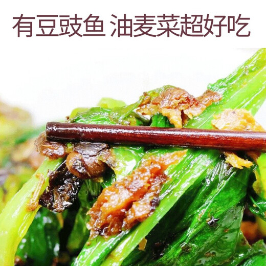 金樱花 金装豆豉鲮鱼罐头凤尾鱼脆肉鲩鱼罐头下饭开罐即食 鲮鱼8罐共1656g
