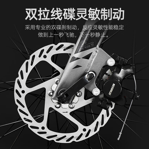 Raleigh Lanling Magnesium Alloy Road Bike Взрослые мужчины и женщины-подростки Городские езды скорость Racing Racing Bik