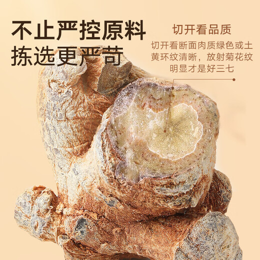 同仁堂品牌北京三七头500克云南文山田七头20头可磨三七粉中药材 20头云南文山三七头500克