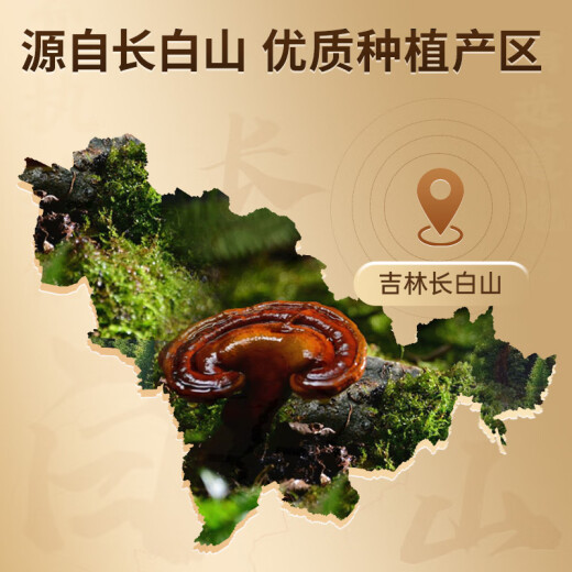 Lei Yunshang [Oficial] Banoderma de pared de la pared Ganoderma Lucidum El polvo de esporas mejora la inmunidad para personas de mediana edad y ancianos [medición trimestral] 22 bolsas*9 cajas, 1 caja, un total de 10 cajas