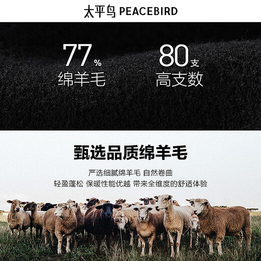 PEACEBIRD Men's Woolen Jacket 2024 Winter Contrast Color Short Jacket Quality Sheep Wool Jacket Youth Black (Loose) Second Batch S