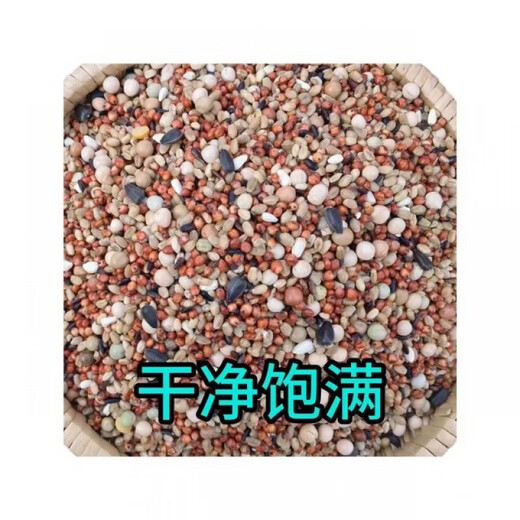 10 Jin Jin is equal to 0.5 kilograms of corn-free pigeon food, racing nutritional feed, bird food, carrier pigeon ornamental pigeon meat, pigeon food, pigeon food