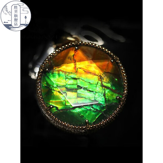 Sheng Beiding Fei Canadian Ammonite Pendant 925 Silver Collarbone Necklace Single Pendant Gemstone Collection Pendant #075