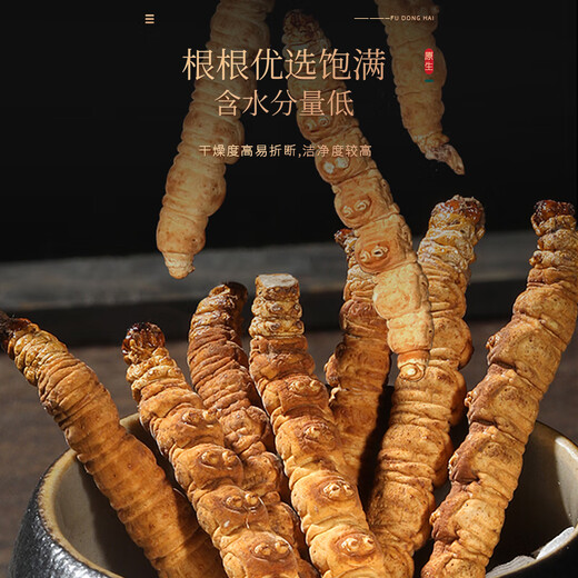 Fudonghai Cordyceps sinensis 8G Geschenkbox (hochwertige alle Insekten) Geschenk Qinghai hochwertiges, praller und trockenfreies Gras